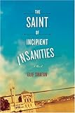 The Saint of Incipient Insanities: A Novel
