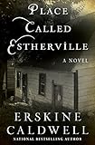 Place Called Estherville: A Novel