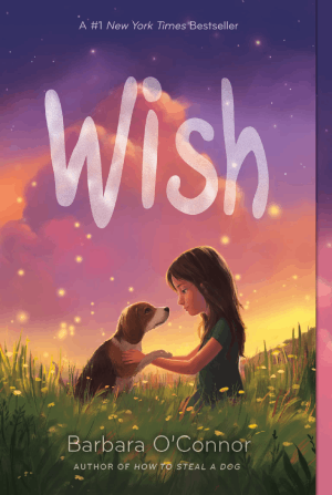 Wish, by Barbara O’Connor