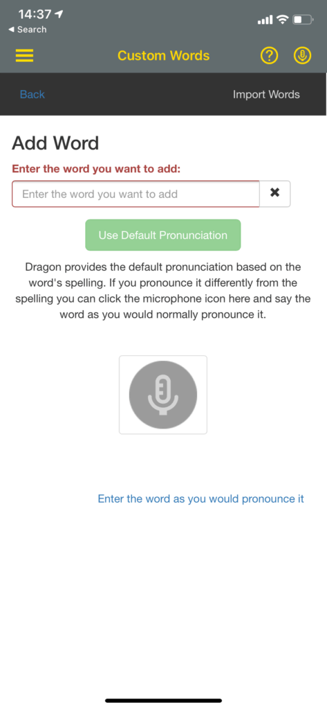 Dragon Anywhere custom words