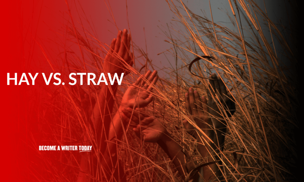 Hay vs straw