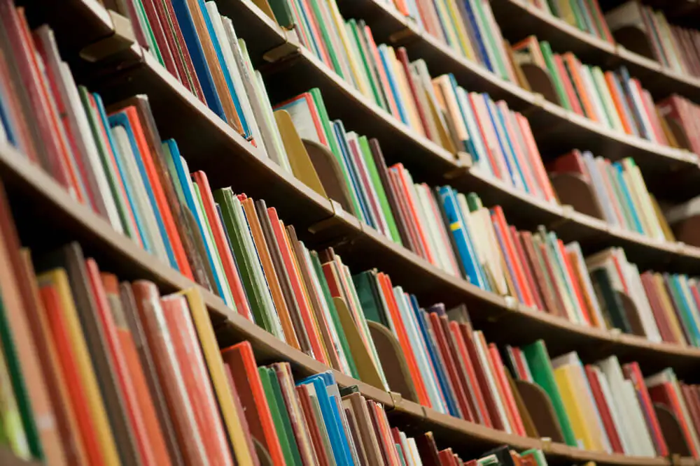 Essays About Books: Do We Still Need Libraries?