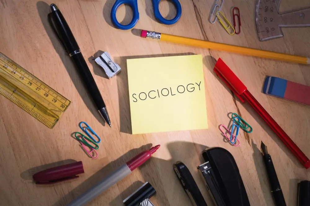 Essays About Sociology: My sociology subject reflection