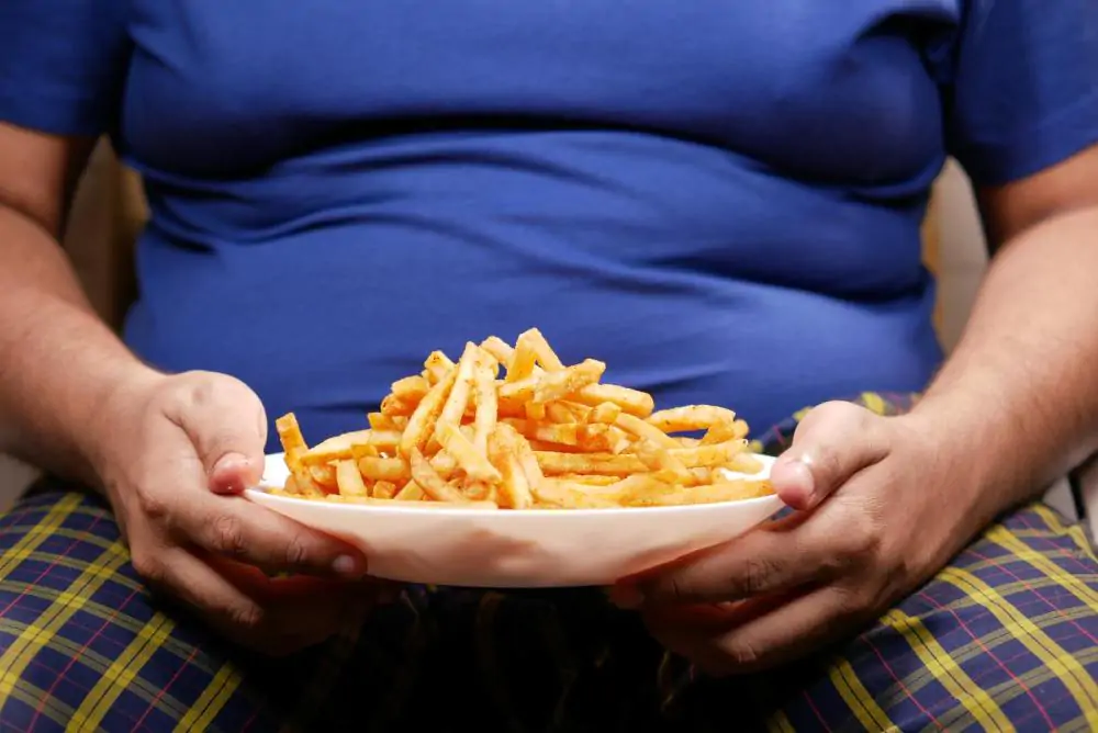 Essays About Obesity