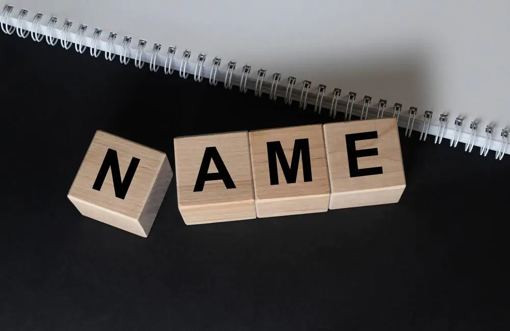 Essays about names