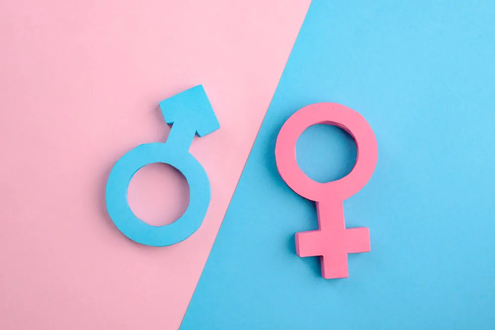 Articles about gender