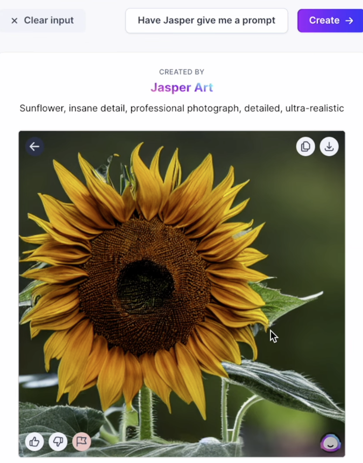Jasper for content creators who need images for articles