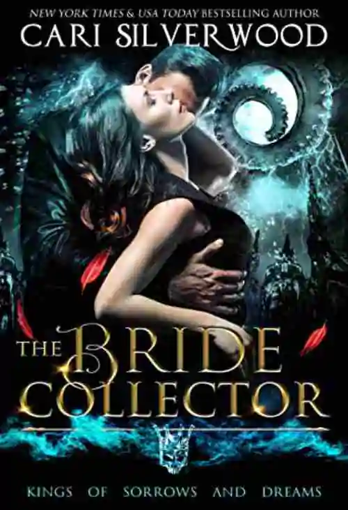 Book cover of The Bride Collector by Cari Silverwood