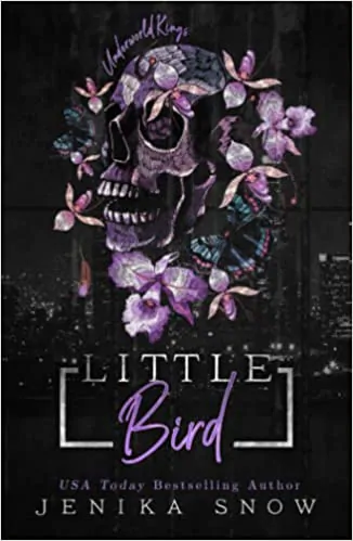 Book cover of Little Bird by Jenika Snow
