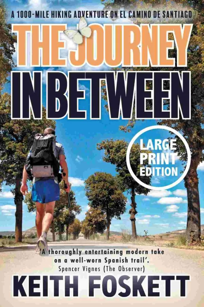 Book cover of The Journey In Between by Keith Foskett