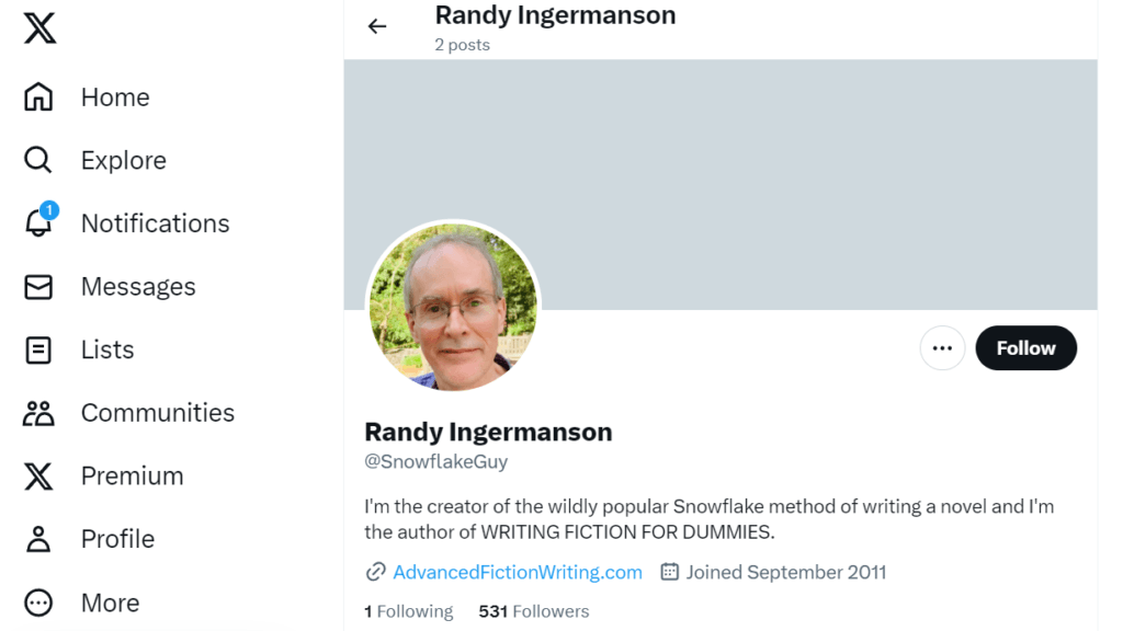Randy Ingermanson
