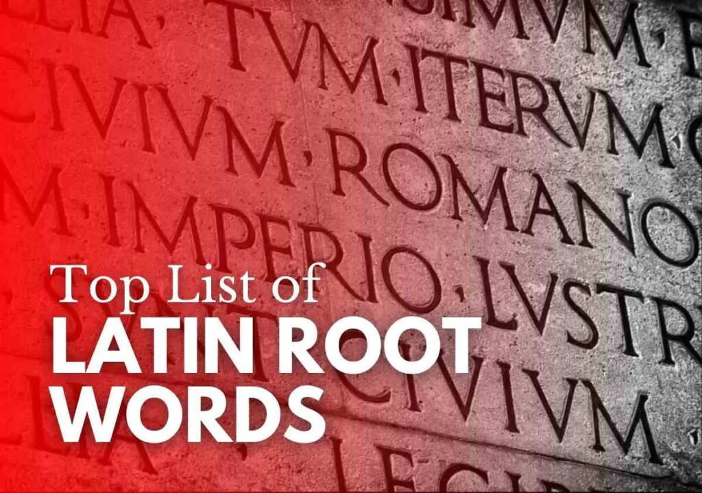List of Latin Root Words