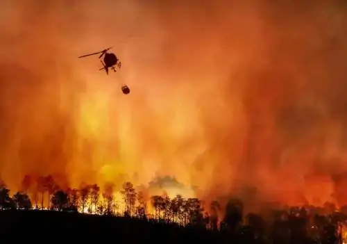 Analizar las causas de los incendios forestales